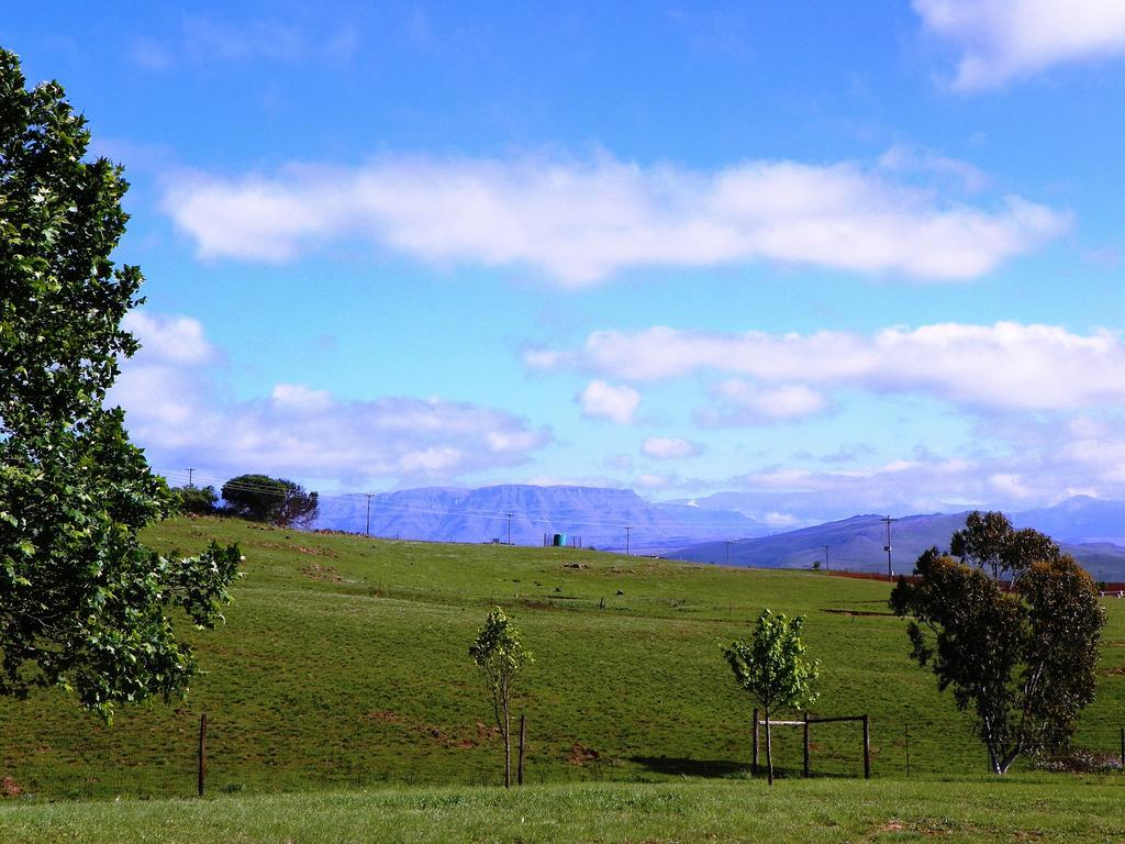 Blackbrook Farm Underberg Extérieur photo