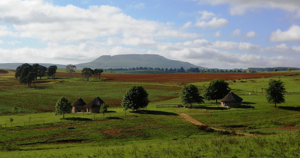 Blackbrook Farm Underberg Extérieur photo